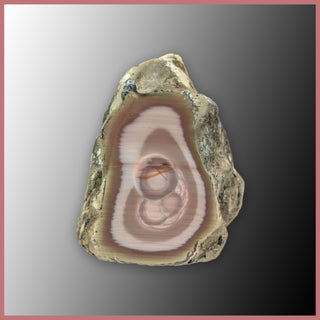 IMP567 Royal Imperial Jasper Specimen