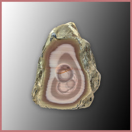 IMP567 Royal Imperial Jasper Specimen
