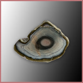 IMP569 Royal Imperial Jasper Specimen