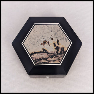 IPBX106 Nature's Paintbrush Intarsia Box