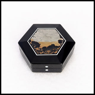 IPBX111 Nature's Paintbrush Intarsia Box