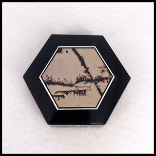 IPBX118 Nature's Paintbrush Intarsia Box