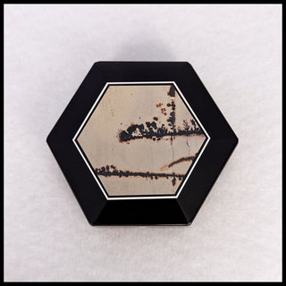 IPBX119 Nature's Paintbrush Intarsia Box