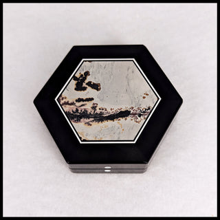 IPBX120 Nature's Paintbrush Intarsia Box