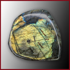 LAB427 Labradorite Freeform