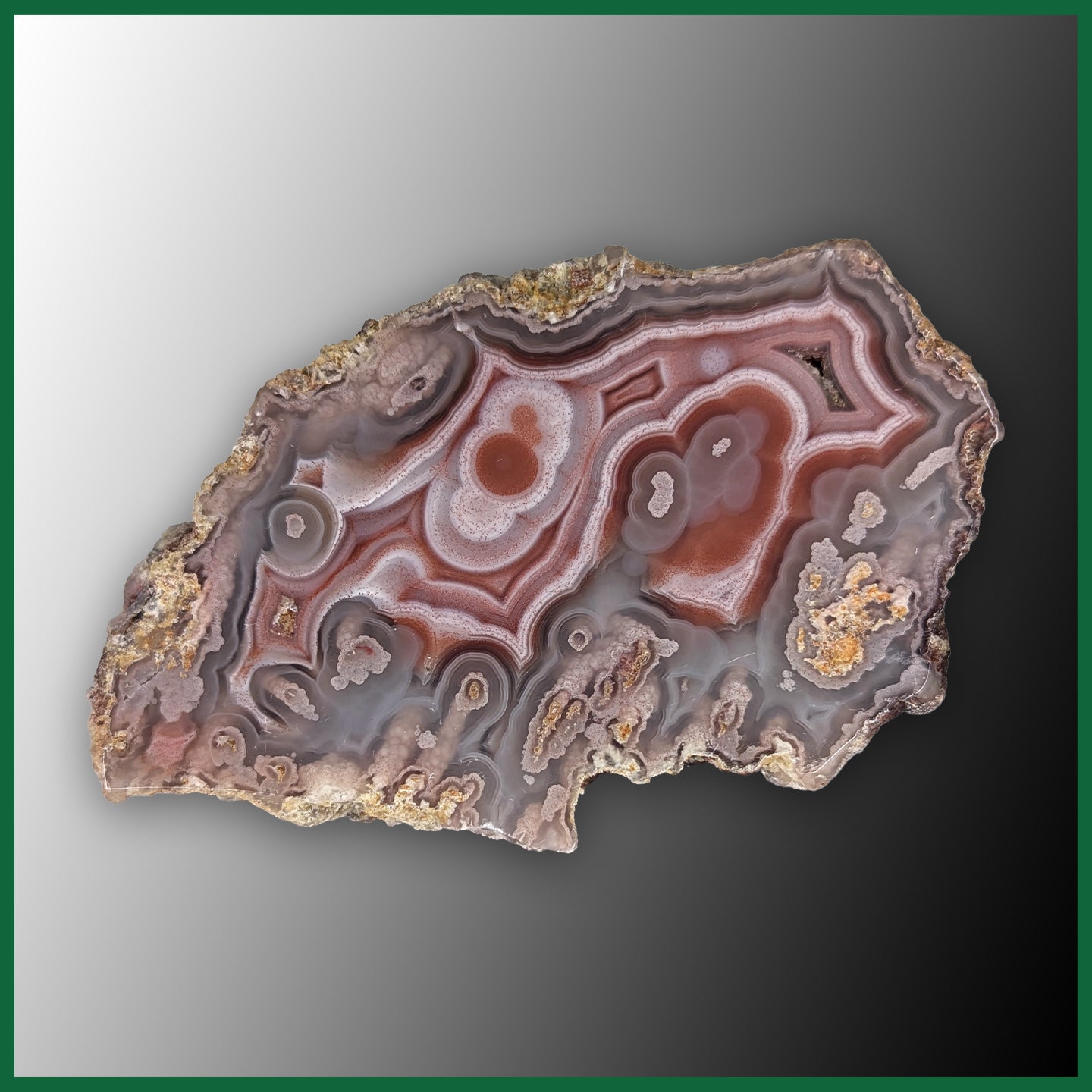 LAG104JR Laguna Agate Specimen| The Gem Shop, Inc.