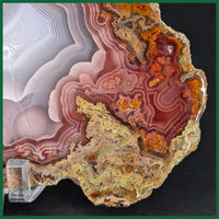 AGN105tr Agua Nueva Agate Slab