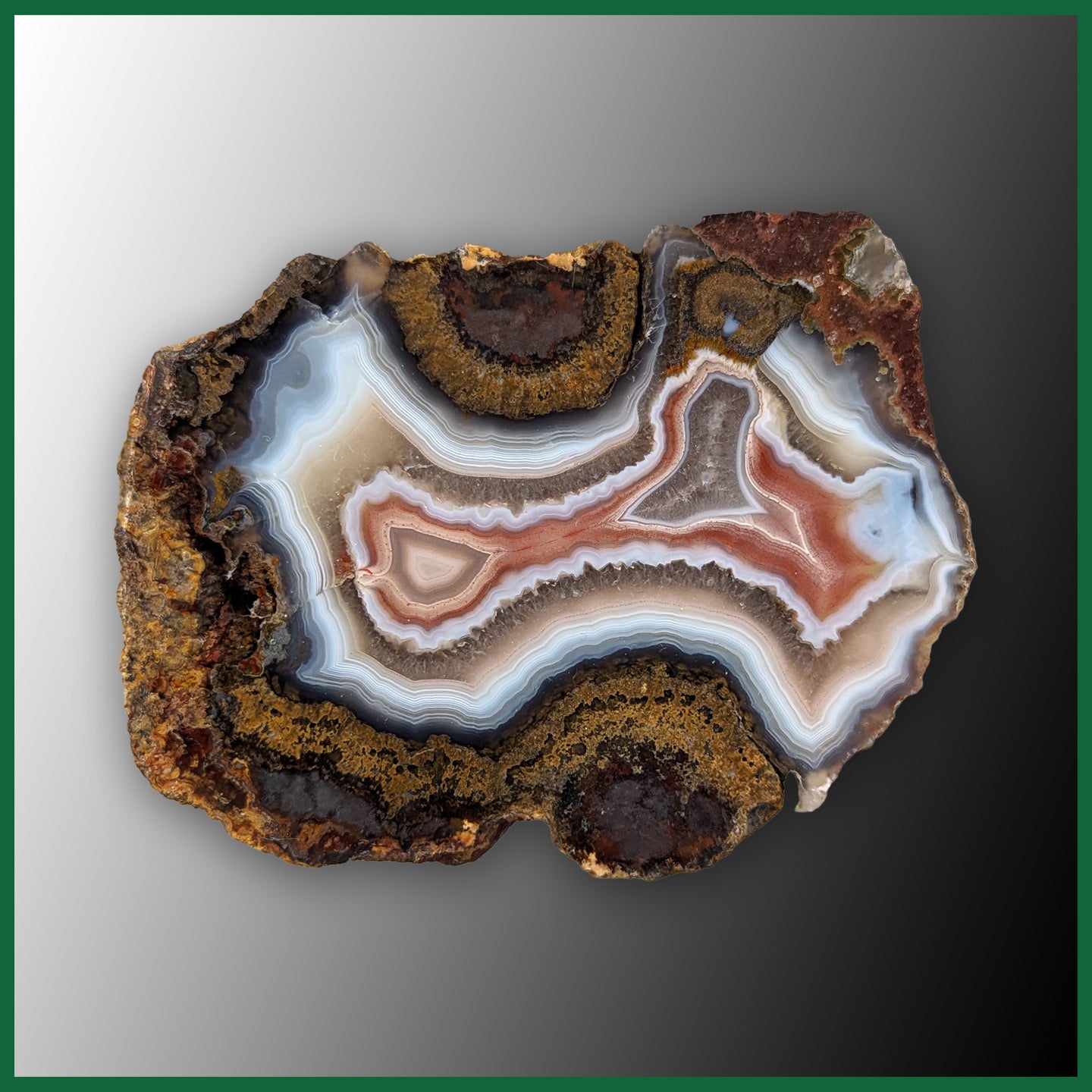 LAG106JR Laguna Agate Specimen| The Gem Shop, Inc.