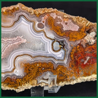 AGN106tr Agua Nueva Agate Slab