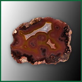 LAG110JR Laguna Agate Specimen