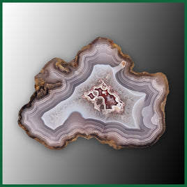 LAG113JR Laguna Agate Specimen