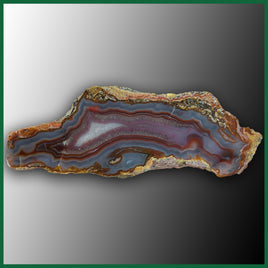 LAG1168 Laguna Agate Specimen