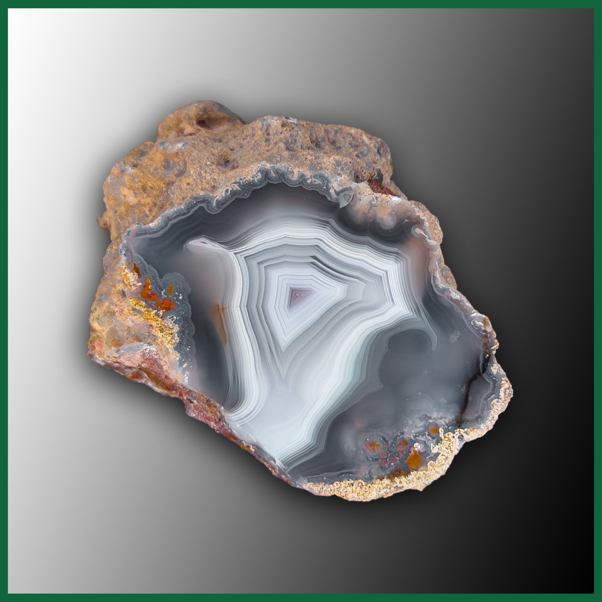 【コレクターズアイテム】ラグーナアゲート LAG1185 Laguna Agate Specimen| The Gem Shop, Inc.