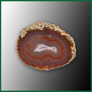 LAG1194 Laguna Agate Specimen