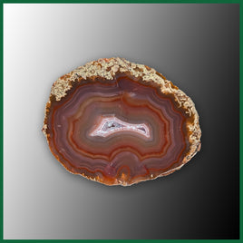 LAG1194 Laguna Agate Specimen