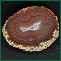 LAG1194 Laguna Agate Specimen