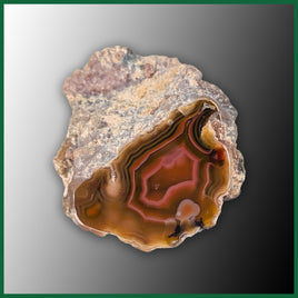 LAG1208 Laguna Agate Polished Specimen