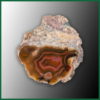 LAG1208 Laguna Agate Polished Specimen