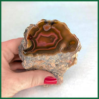 LAG1208 Laguna Agate Polished Specimen