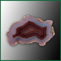 LAG1209pr Laguna Agate Polished Specimen Pair
