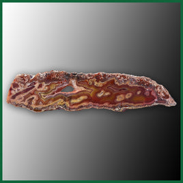 LAG1219 Laguna Agate Polished Slab