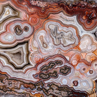 REL115 Laguna Lace Agate Specimen
