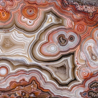 REL115 Laguna Lace Agate Specimen