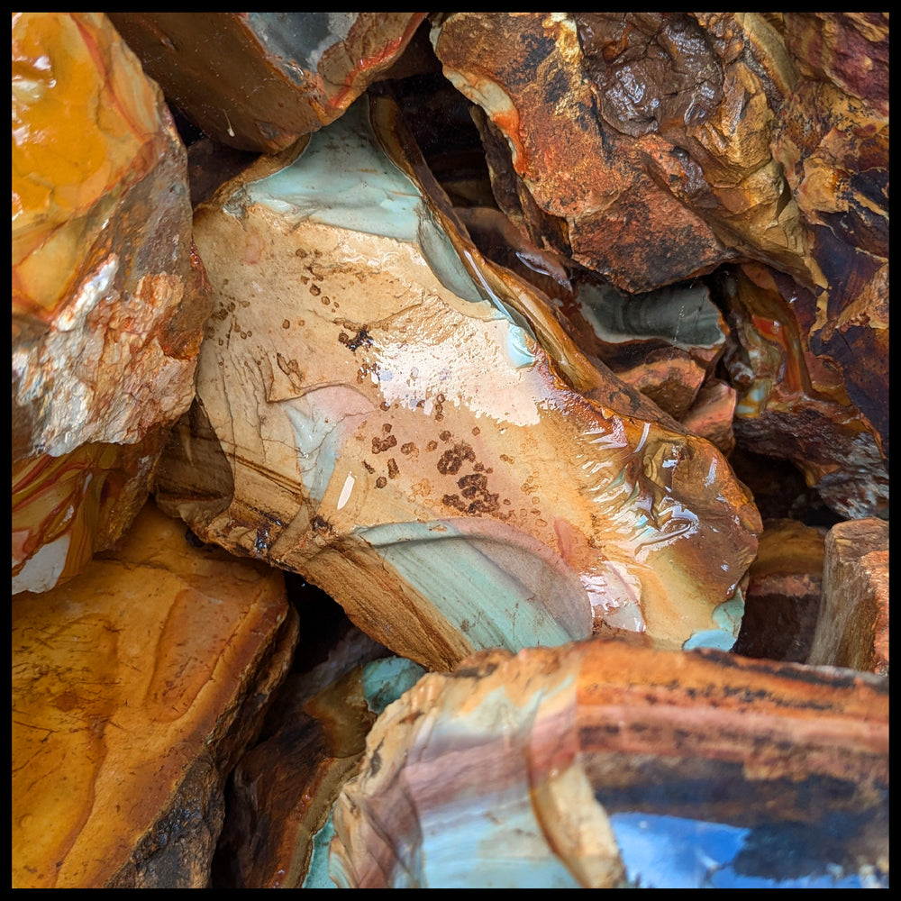 Normal Jasper Rocks Landscape Jasper, Rough Rock, per lb| The Gem Shop, Inc.