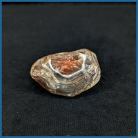 LAS154rs Lake Superior Agate Rough Specimen