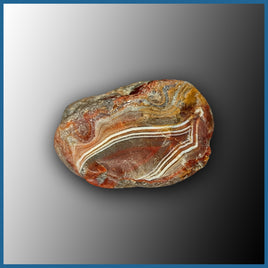 LAS161rs Lake Superior Agate Rough Specimen