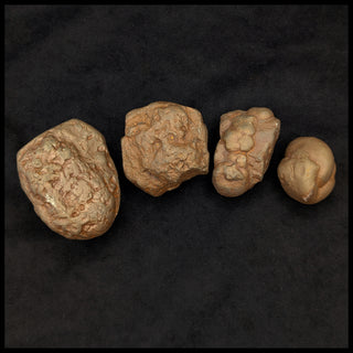 Marcasite Concretions (Wisconsin)