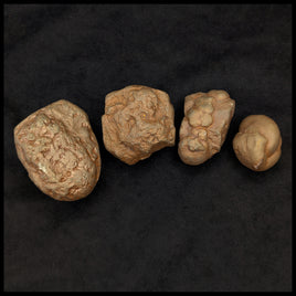 Marcasite Concretions (Wisconsin)