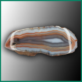 MAW191 Malawi Agate Specimen