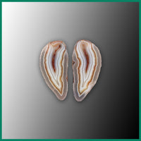 MAW205pr Malawi Agate Specimen Pair