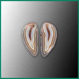 MAW205pr Malawi Agate Specimen Pair