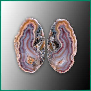MAW242pr Malawi Agate Specimen Pair