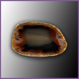 MOM114 Montana Moss Agate Specimen