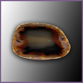 MOM114 Montana Moss Agate Specimen