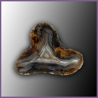 MOM117 Montana Moss Agate Specimen