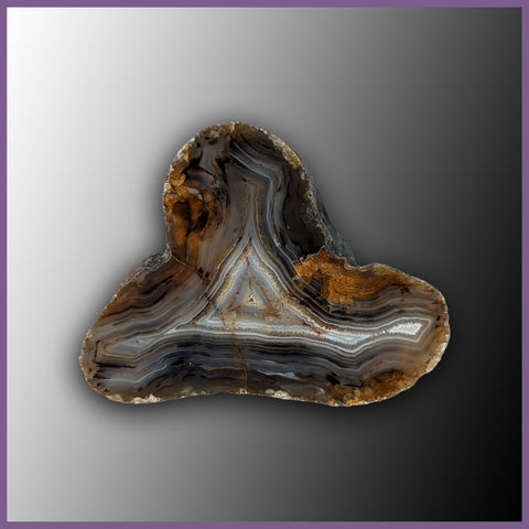 MOM117 Montana Moss Agate Specimen