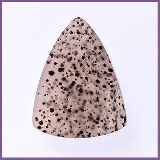 MOM474c Montana Moss Agate Cabochon
