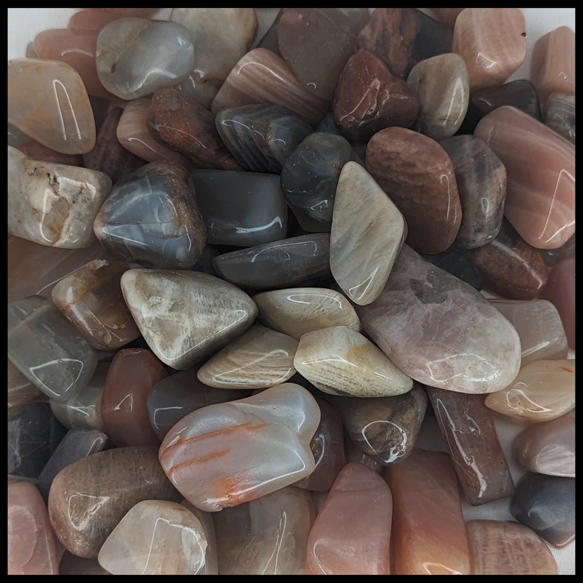 Moonstone, Tricolor, Tumbled Stone, 1 lb lot| The Gem Shop, Inc.