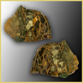 MOR442pr Morrisonite Specimen