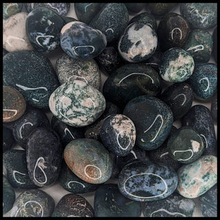 Moss Agate, Tumbled Stone, 1 lb lot