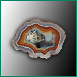 MRC264JR Malawi Agate Specimen