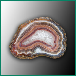 MRC267JR Malawi Agate Specimen