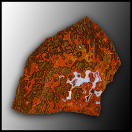 MRC337JR Moroccan Agate Specimen