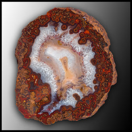 MRC339JR Moroccan Agate Specimen