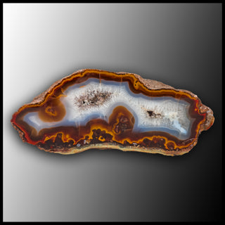 MRC341JR Moroccan Agate Specimen