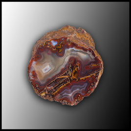 MRC342JR Moroccan Agate Specimen